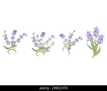 Set of wedding bouquets Stock Vector Image & Art - Alamy