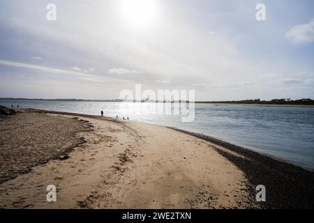 sandy beach with familys swimming at dusk on phillip island australia Stock Photo