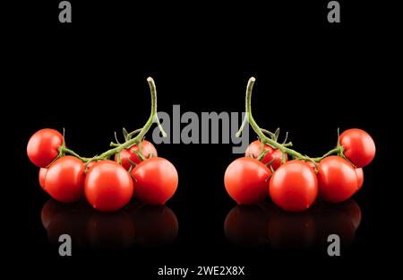 Branch of Cherry Tomato Isolated on black background. Fresh cherry tomatoes isolated on black. Tomato isolated Stock Photo