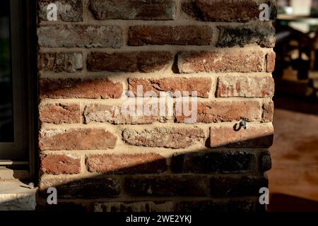 Brick wall orange red can be used as wallpaper or background. beutifrl soft light. 2024 stock trend. Stock Photo