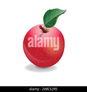 Realistic apple vector illustration Stock Vector