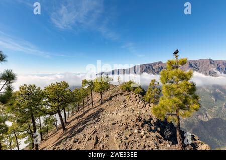 Pico Bejenado as the southern boundary of the Caldera de Taburiente on