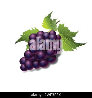 Vector illustration of a bunch of fruit grapes Stock Vector