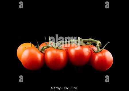 Branch of cherry tomato Isolated on black background. Fresh cherry tomatoes isolated on black. Tomato isolated Stock Photo