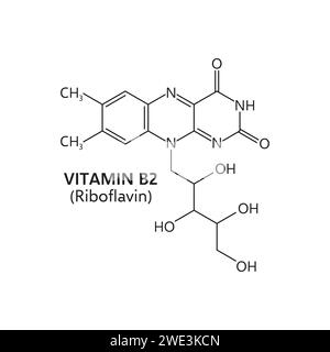 Vitamin b2, riboflavin molecular formula, vector structure c17h20n4o6 consists of a central benzene ring with a ribitol side chain, essential for energy metabolism in the body, and tissue maintenance Stock Vector
