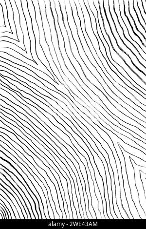 Abstract Line Art Texture, Minimalist Line Art, Black and White Line Drawing, Modern Minimalist Wall Art, Curved Stripes Hand Drawing. Stock Photo