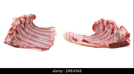 Raw lamb chops isolated on a white background. Raw fresh rack of lamb isolated. Lamb Ribs  Raw Meat  Isolated over white Stock Photo