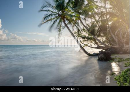Caribbean island travel destination theme. Sea blue color with smooth water no waves Stock Photo