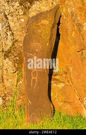 Petroglyph Trail rock art, Columbia Hills State Park, Columbia River Gorge National Scenic Area, Washington Stock Photo