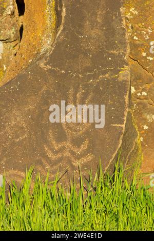 Petroglyph Trail rock art, Columbia Hills State Park, Columbia River Gorge National Scenic Area, Washington Stock Photo