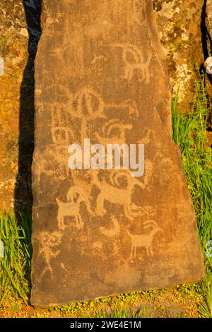 Petroglyph Trail rock art, Columbia Hills State Park, Columbia River Gorge National Scenic Area, Washington Stock Photo