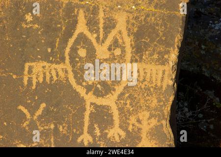 Petroglyph Trail rock art, Columbia Hills State Park, Columbia River Gorge National Scenic Area, Washington Stock Photo