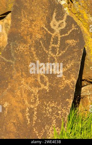 Petroglyph Trail rock art, Columbia Hills State Park, Columbia River Gorge National Scenic Area, Washington Stock Photo