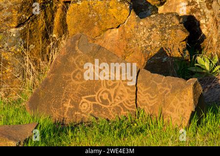 Petroglyph Trail rock art, Columbia Hills State Park, Columbia River Gorge National Scenic Area, Washington Stock Photo