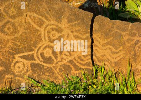 Petroglyph Trail rock art, Columbia Hills State Park, Columbia River Gorge National Scenic Area, Washington Stock Photo