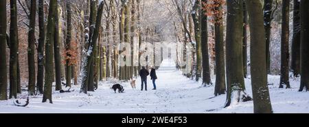 couple walks dogs in snow covered forest near utrecht in holland Stock Photo