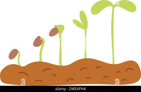 Hand drawn plant growing stages, sprout grow process. Stock Vector