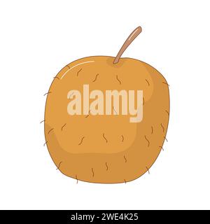 Hand drawn kiwi fruit vector illustration. Creative hand drawn fruit vector element Stock Vector