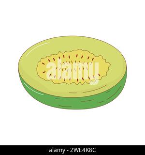 Hand drawn melon fruit vector illustration. Creative hand drawn fruit vector element Stock Vector