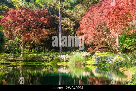 Garden reflection on pond at MaClay Gardens National Park in Tallahassee, Florida Stock Photo