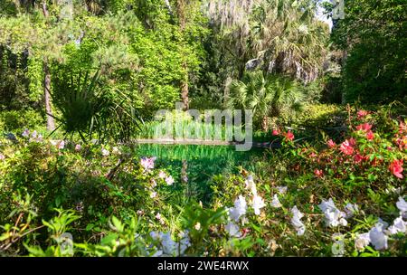 Garden reflection on pond at MaClay Gardens National Park in Tallahassee, Florida Stock Photo