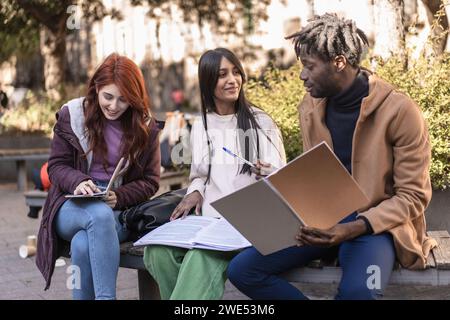 Diverse Students Engaging in Group Study Outdoors Stock Photo