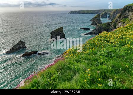 England, Cornwall, North Coast, Bedruthan Steps Stock Photo