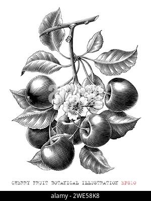 Cherry graphic branch black white isolated sketch illustration vector ...