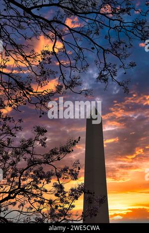silhouette of the obelisk of buenos aires at sunset with flowered jacaranda trees Stock Photo