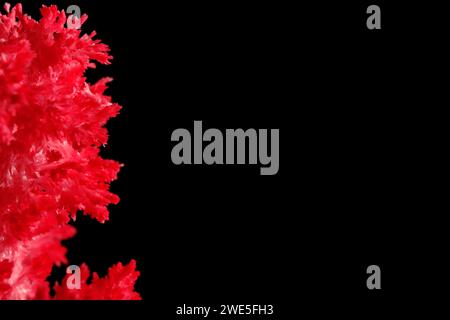 Macro image red salt crystal on black background Stock Photo
