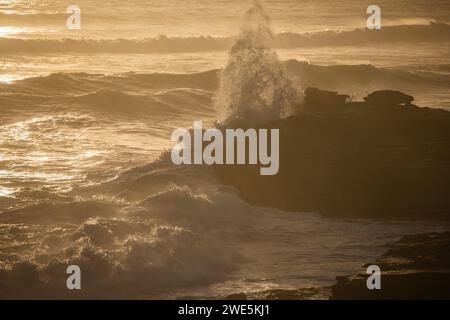 Waves breaking onto the rocky coast and beach at Walker Bay Nature Reserve at sunset, Gansbaai De Kelders, Western Cape, South Africa Stock Photo
