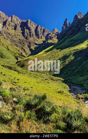 Tseketseke Valley with Cleft Peak, Column and The Pyramid, Didima, Cathedral Peak, Drakensberg, Kwa Zulu Natal, UNESCO World Heritage Site Maloti-Drak Stock Photo