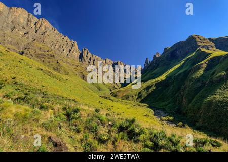 Tseketseke Valley with Cleft Peak, Column and The Pyramid, Didima, Cathedral Peak, Drakensberg, Kwa Zulu Natal, UNESCO World Heritage Site Maloti-Drak Stock Photo