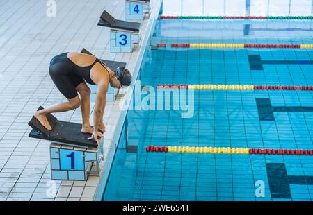 Professional female swimmer preparing and jumping off the starting block into the pool. Competitive swimmers workout concept. Stock Photo