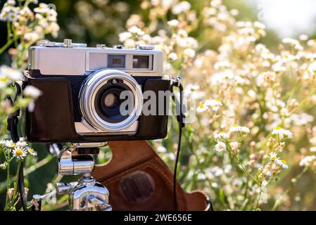 Vintage camera on an old tripod in blooming meadow flowers with copy space for text. Selective focus. Stock Photo