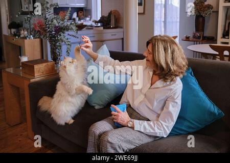Smiling woman sitting on sofa and playing with Persian cat at home Stock Photo