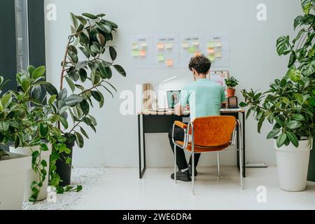 Web designer working on laptop near plants in office Stock Photo