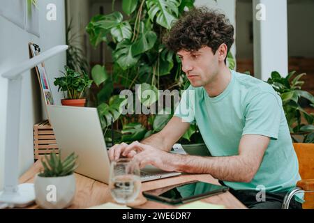 Web designer working on laptop near plants at desk in office Stock Photo