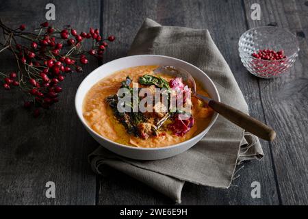 Studio shot of bowl of ready-to-eat pumpkin soup with croutons and beetroot chips Stock Photo