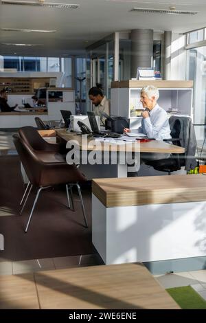 Multiracial business colleagues sitting and working together at office Stock Photo