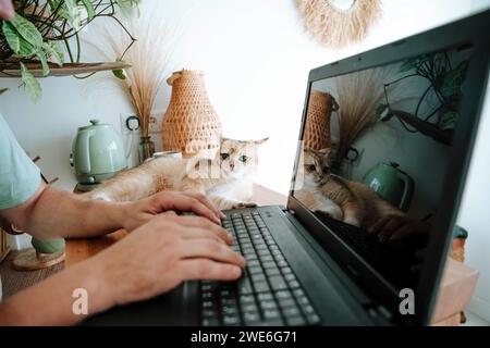 Close-up of man with cat using laptop Stock Photo