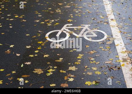 Fallen autumn leaves on asphalt bicycle lane Stock Photo