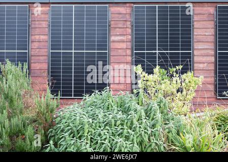 Germany, Baden-Wurttemberg, Freiburg im Breisgau, Solar panels on building wall with bushes in foreground Stock Photo