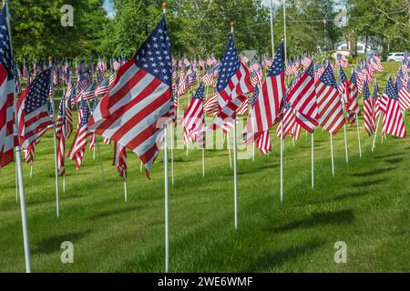 Rows of United States flags on a green grass lawn in Indianapolis, Indiana Stock Photo