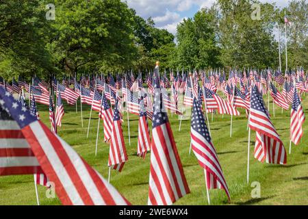 Rows of United States flags on a green grass lawn in Indianapolis, Indiana Stock Photo