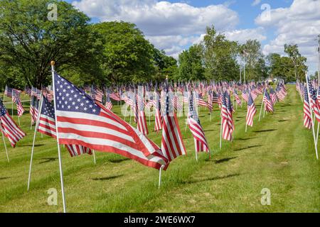 Rows of United States flags on a green grass lawn in Indianapolis, Indiana Stock Photo