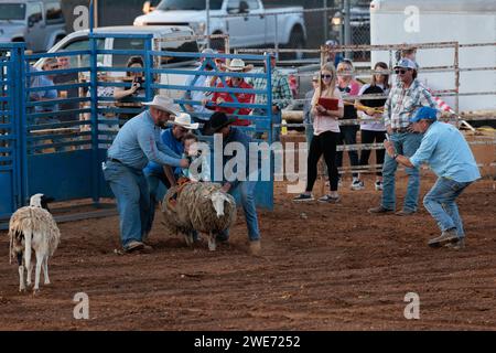 Young boy riding a sheep in a mutton busting event during the Hardin County Fair Rodeo in Savannah, Tennessee Stock Photo