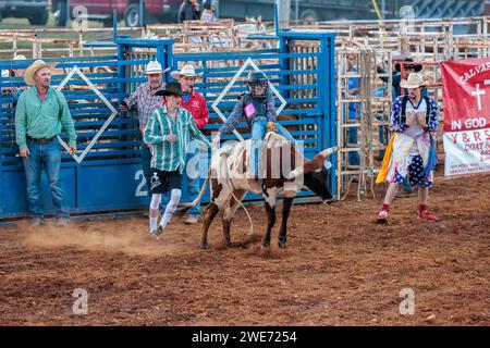 Young boy participating in a steer riding event during the Hardin County Fair Rodeo in Savannah, Tennessee Stock Photo