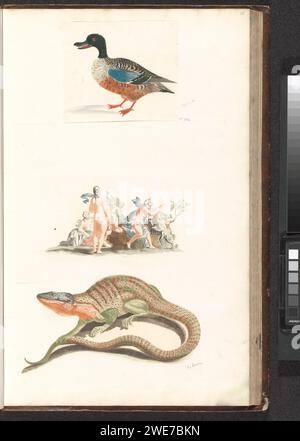 Hagedis, anonymous, 1688 - 1698 print This print is part of an album. Netherlands paper engraving lizards: lizard Stock Photo