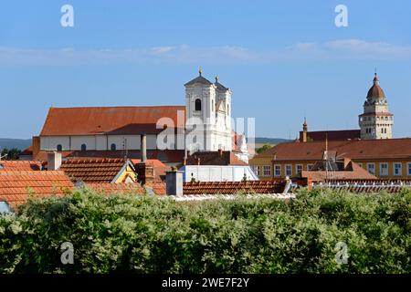 Town view with church and historical buildings under clear blue sky, view of Roman Catholic Church of St Francis Xavier and Roman Catholic Parish Stock Photo